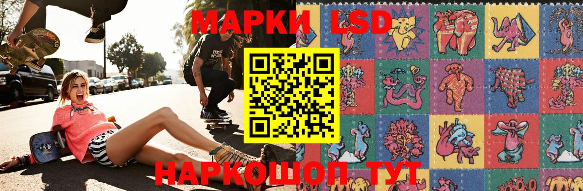 где купить наркотик  Наркотические марки 1,8мг  Вход с VPN  Ростов-на-Дону  Наркотические марки 1,8мг 