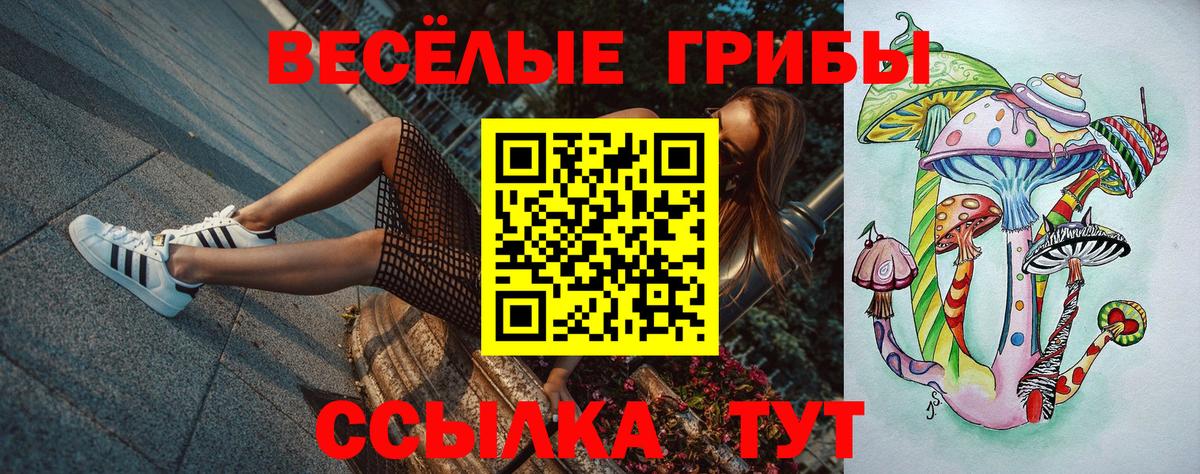 Галлюциногенные грибы Magic Shrooms Ростов-на-Дону