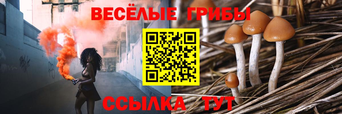 Псилоцибиновые грибы MAGIC MUSHROOMS  закладка  Ростов-на-Дону  Галлюциногенные грибы Psilocybine cubensis  Вход с VPN 